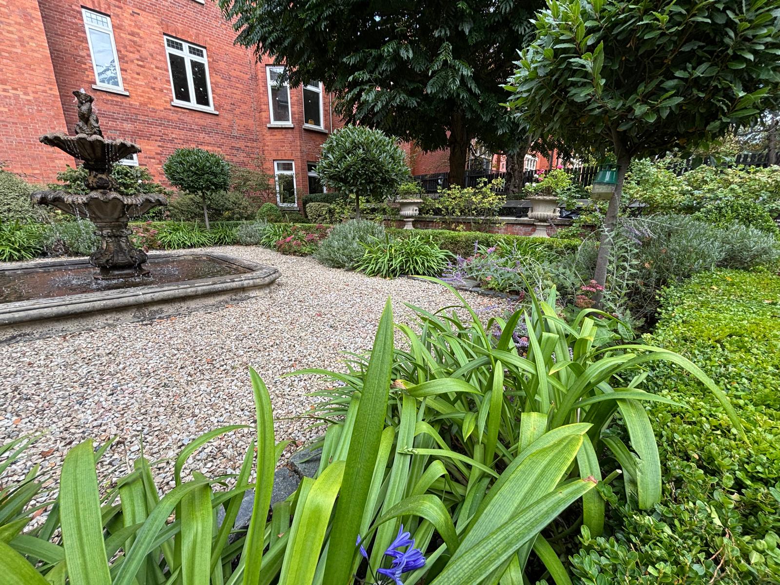Latest garden project photo 1