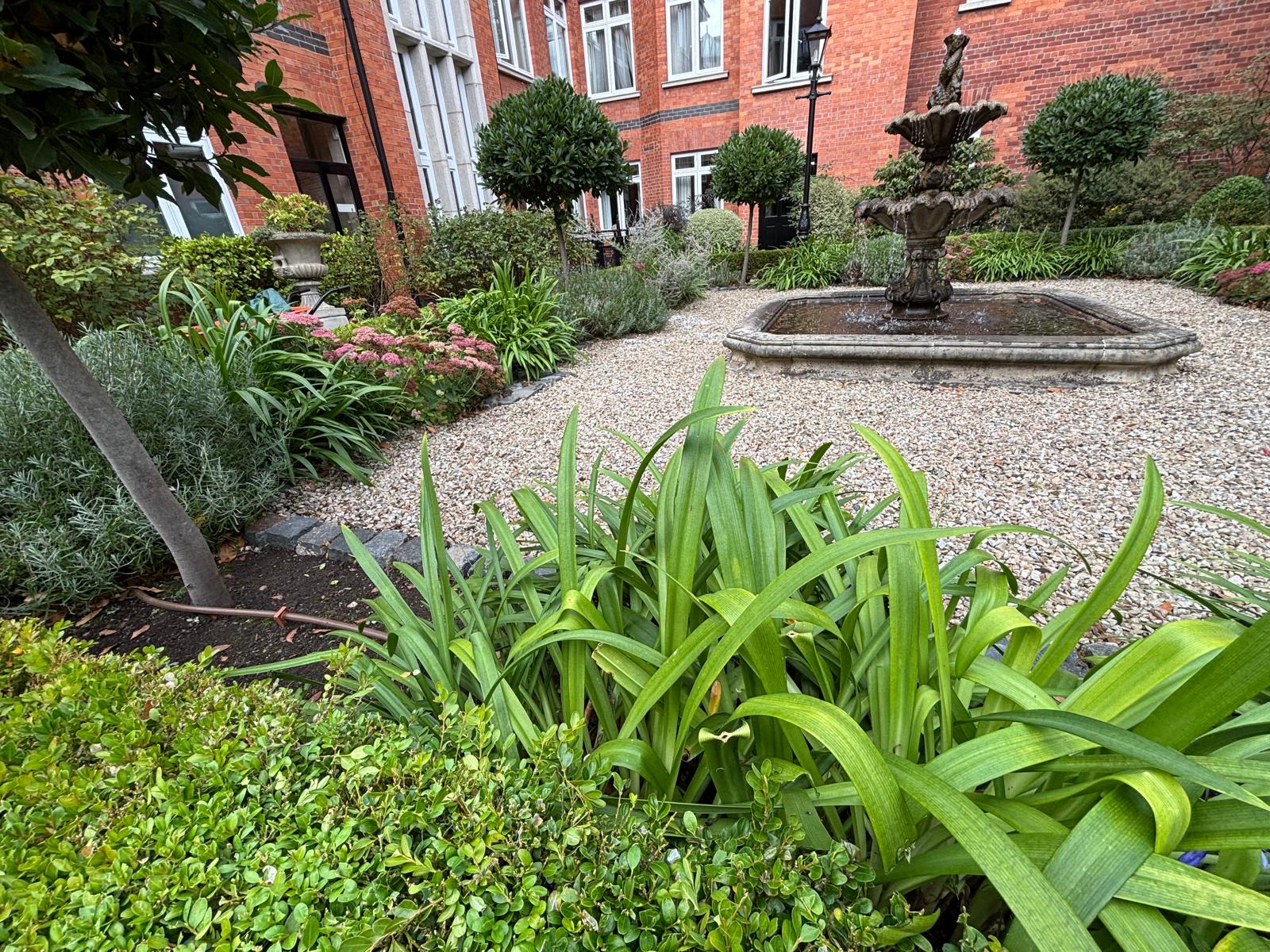 Latest garden project photo 2