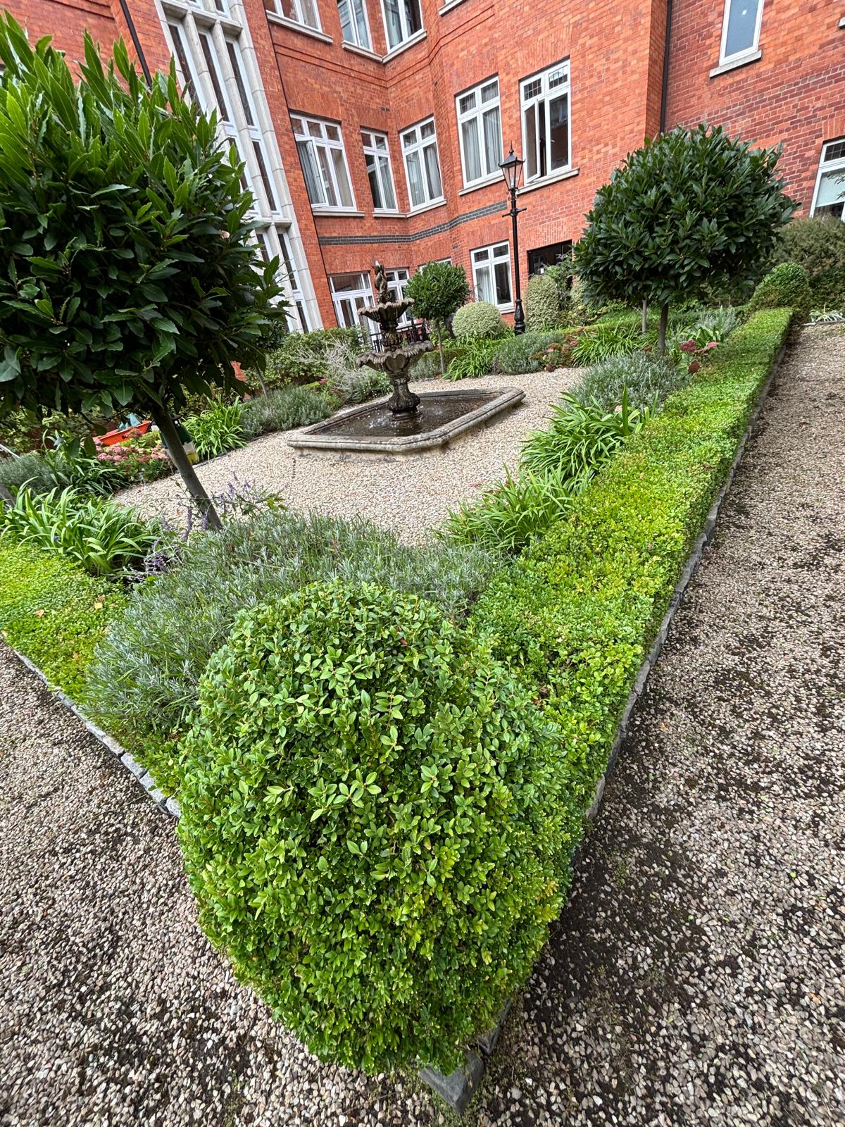 Latest garden project photo 3