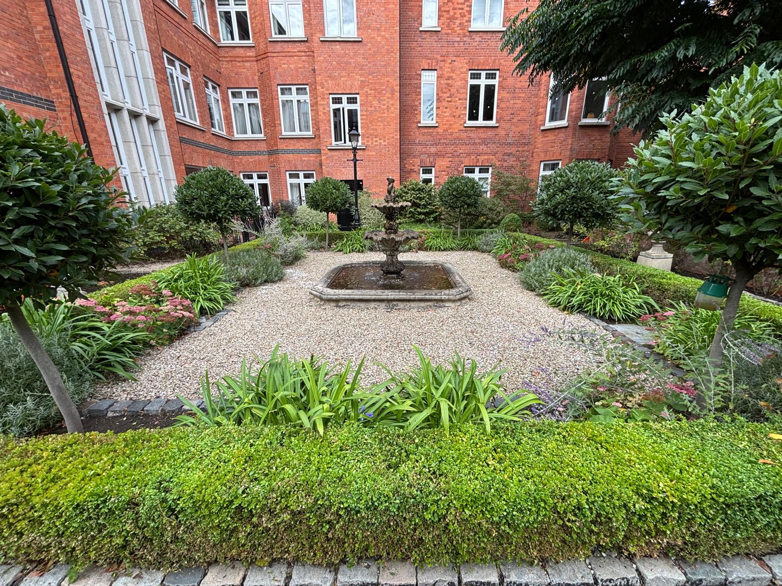 Latest garden project photo 4