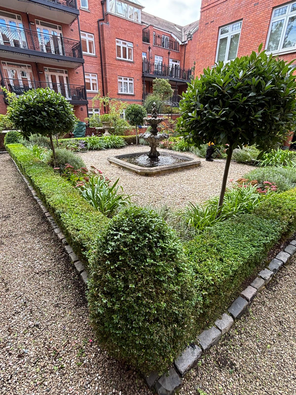 Latest garden project photo 5