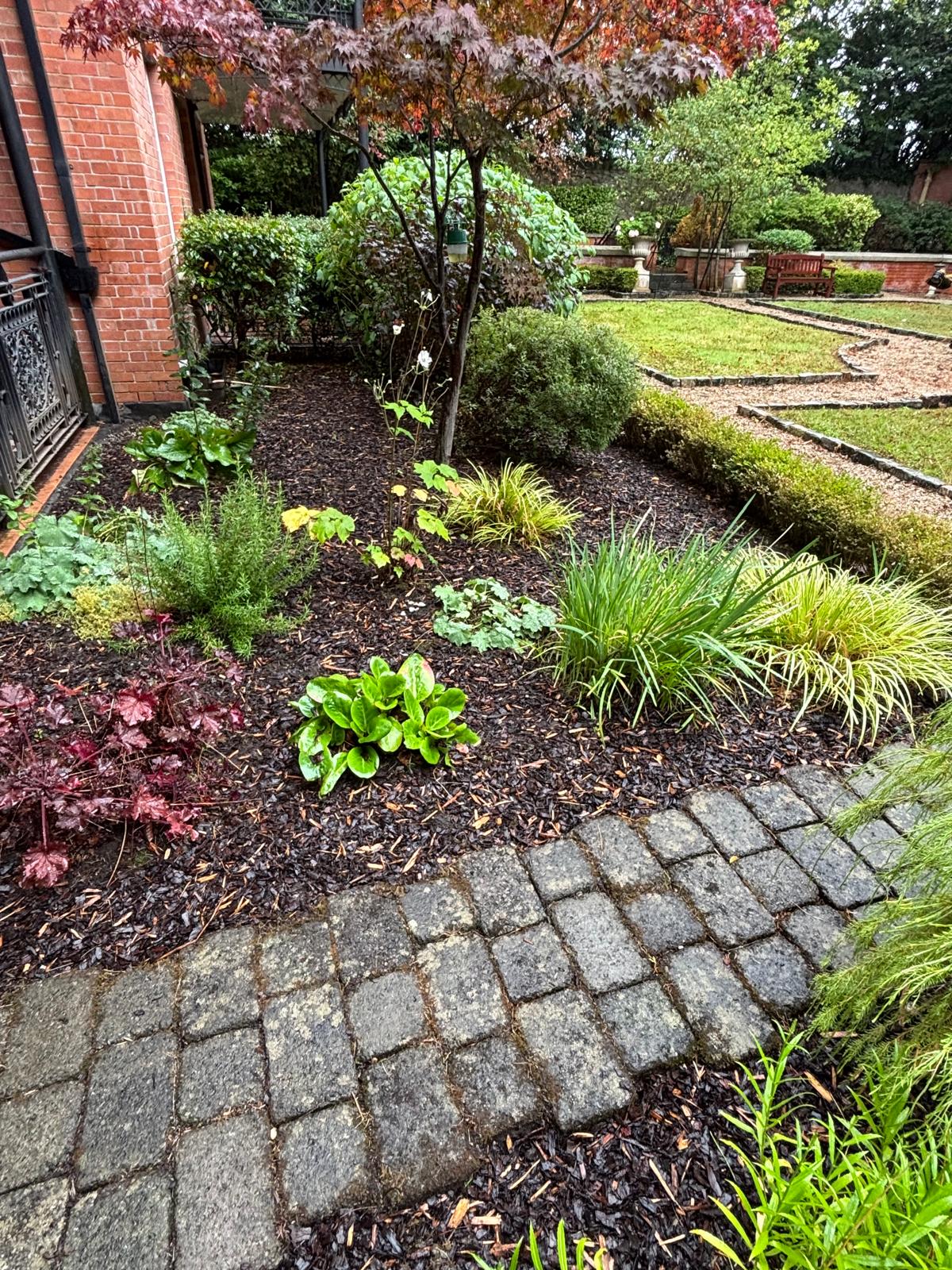 Latest garden project photo 6